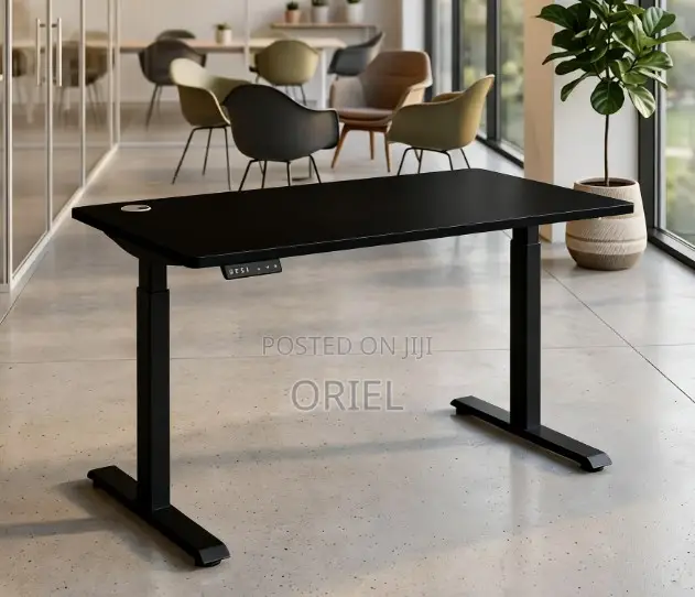 Electric Adjustable Standing Desk – Modern Home Office Workstation