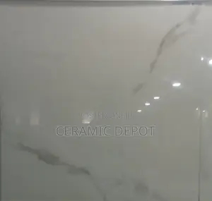 CARRARA GRIS POLISHED TILES 60X60 CARRARA.GRIS
