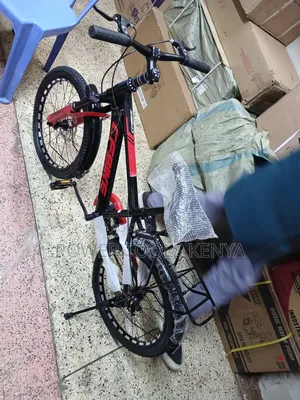 20-Inch Children's Mountain Bicycle*