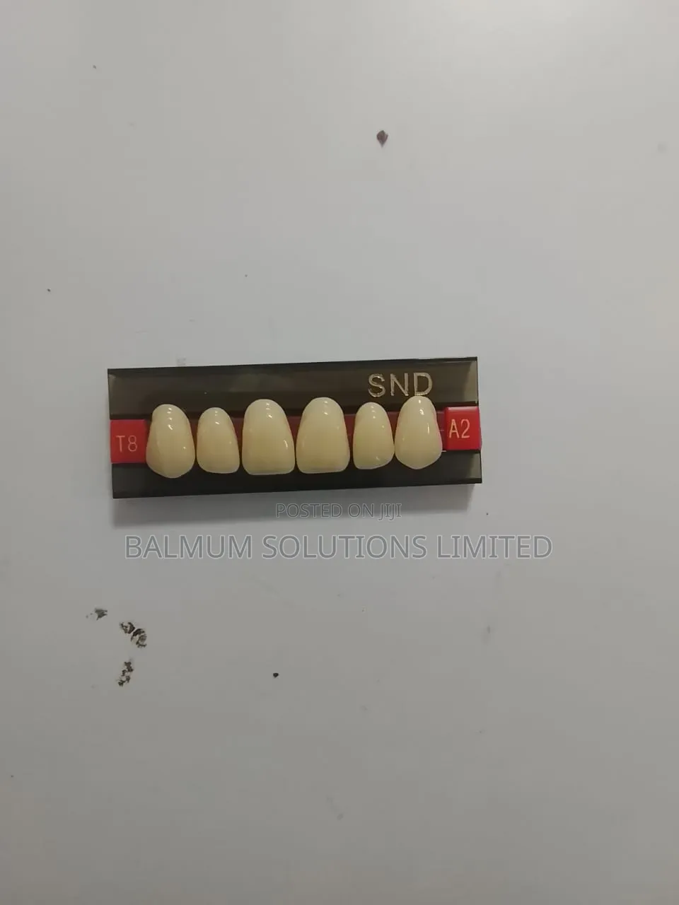Artificial Teeth