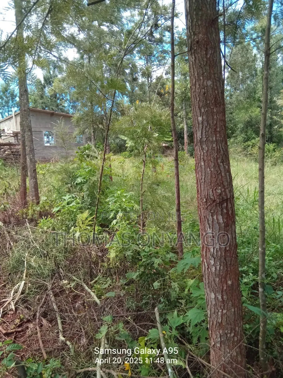 Plot for Sell 50by100