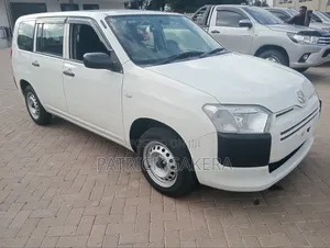 Toyota Probox 1.5 DX 4WD 2019 White