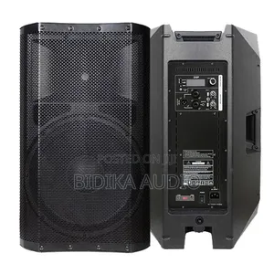 Accuracy Pro Audio CAN12D3 1000W Peak Professional Stage