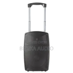 Professional Portable PA Speaker With Trolley Handle