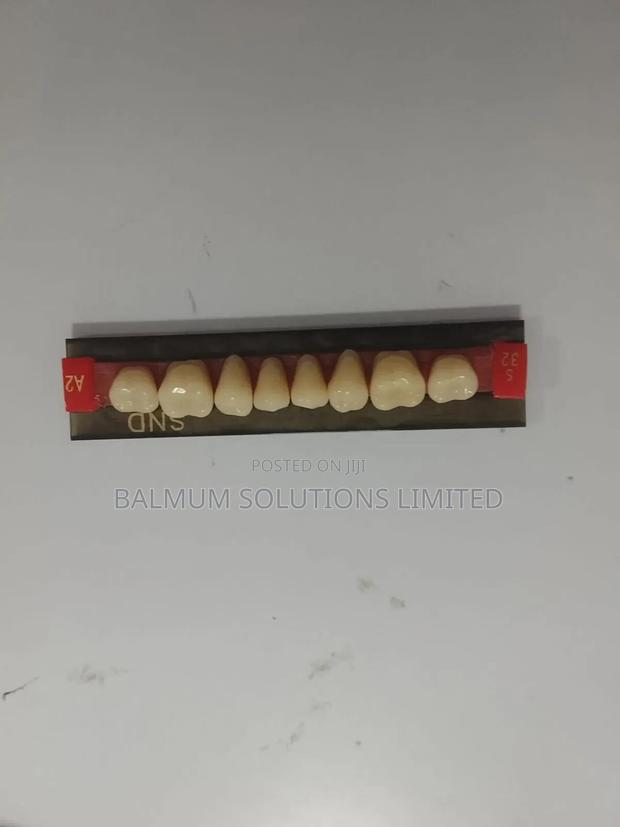 Artificial Teeth - main view
