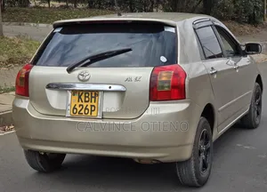 Toyota Allex 2004 Yellow