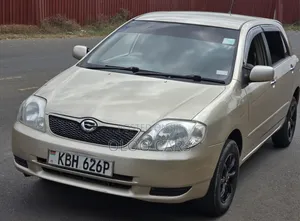 Toyota Corolla RunX 2004 Silver