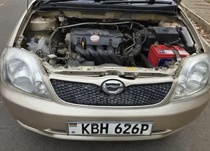 Toyota Corolla RunX 2004 Silver