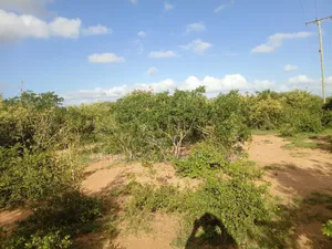 Malindi Margarine Barisho Area 7200 Acre for Farm