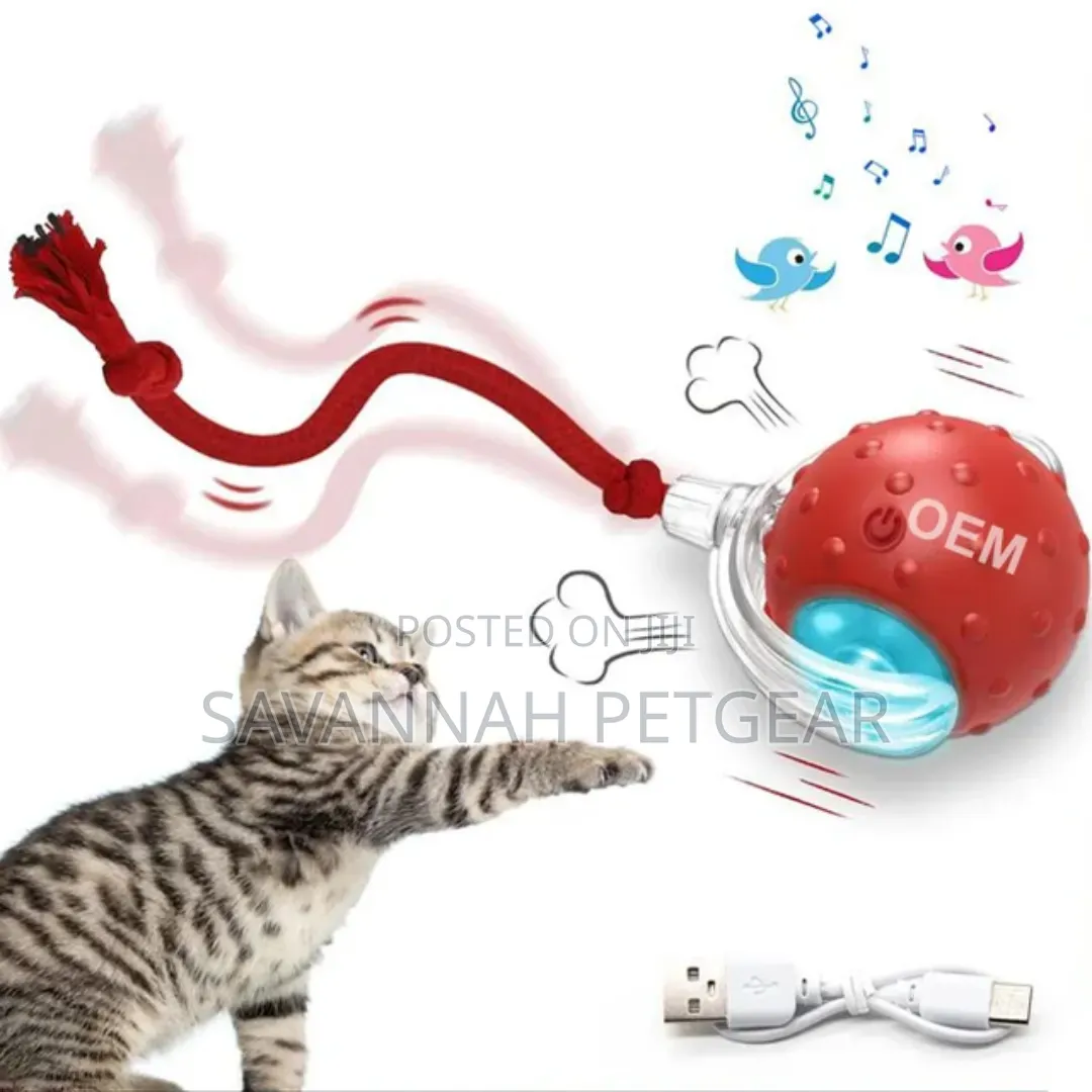 Rechargeable Speedy Tail Dog Cat Toy Interactive Cat Ball Toy