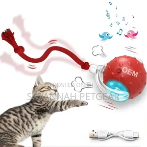 Rechargeable Speedy Tail Dog Cat Toy Interactive Cat Ball Toy