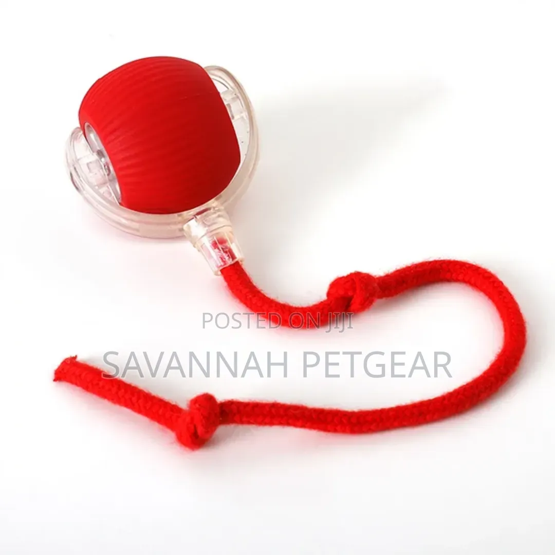 Rechargeable Speedy Tail Dog Cat Toy Interactive Cat Ball Toy
