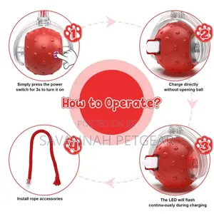 Rechargeable Speedy Tail Dog Cat Toy Interactive Cat Ball Toy