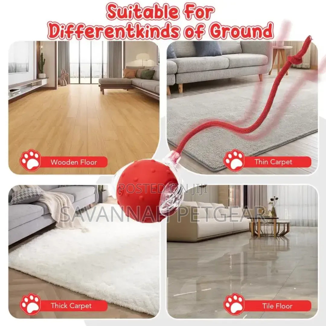 Rechargeable Speedy Tail Dog Cat Toy Interactive Cat Ball Toy
