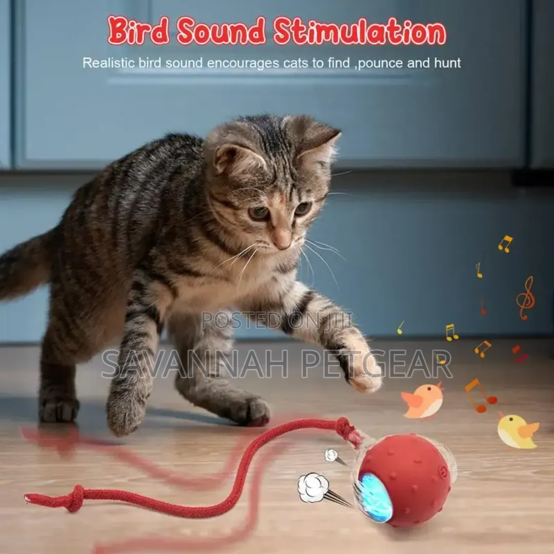 Rechargeable Speedy Tail Dog Cat Toy Interactive Cat Ball Toy