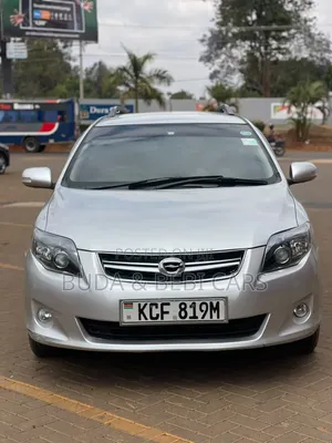 Toyota Corolla Fielder 2009 Silver