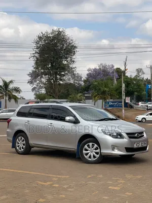 Toyota Corolla Fielder 2009 Silver