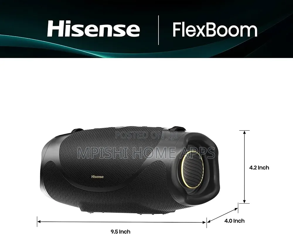 Hisense Flex Boom