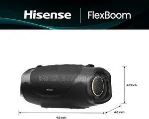 Hisense Flex Boom