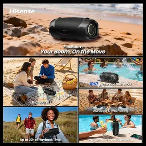Hisense Flex Boom