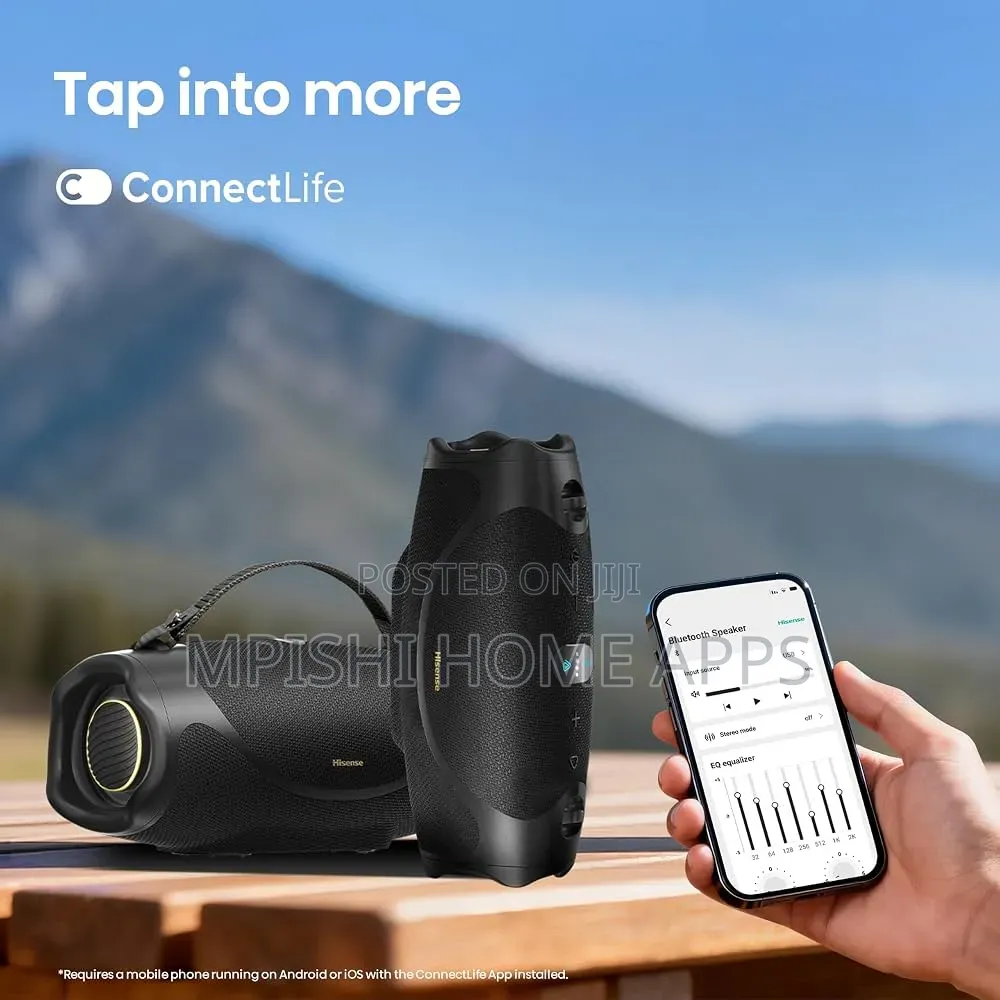 Hisense Flex Boom