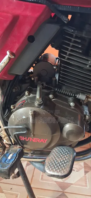 Shineray XY175GY 2023 Red