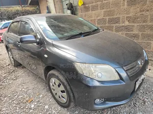 Toyota Axio 2009 Silver