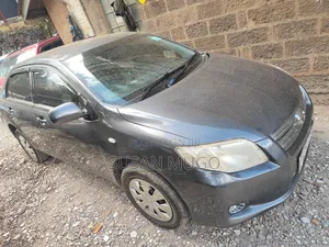Toyota Axio 2009 Silver