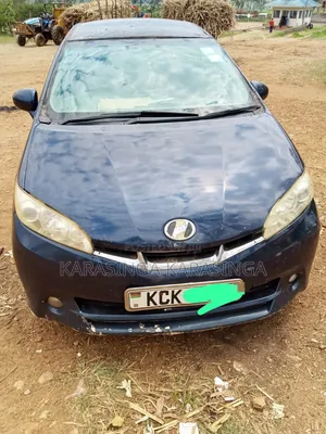 Toyota Wish 2011 Blue