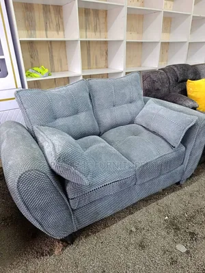2seater Gray Butterfly  Spring Cushion
