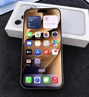 Apple iPhone 17 Pro Max 256 GB Silver
