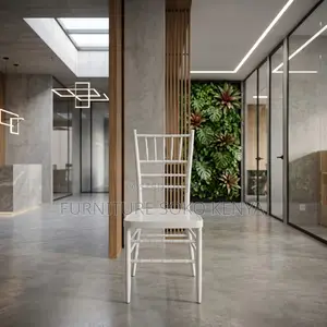 Home Chairs; White Wedding and Restaurant Chairs