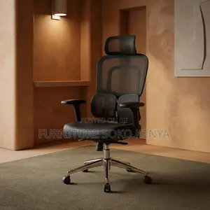 Office Chairs; Executive High Orthopedic Chair With Dual Back