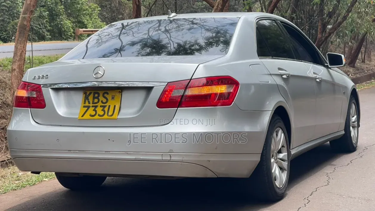 Mercedes-Benz E220 2010 Silver