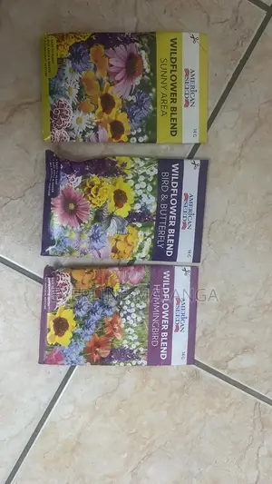 American Wildflower Seeds Blend