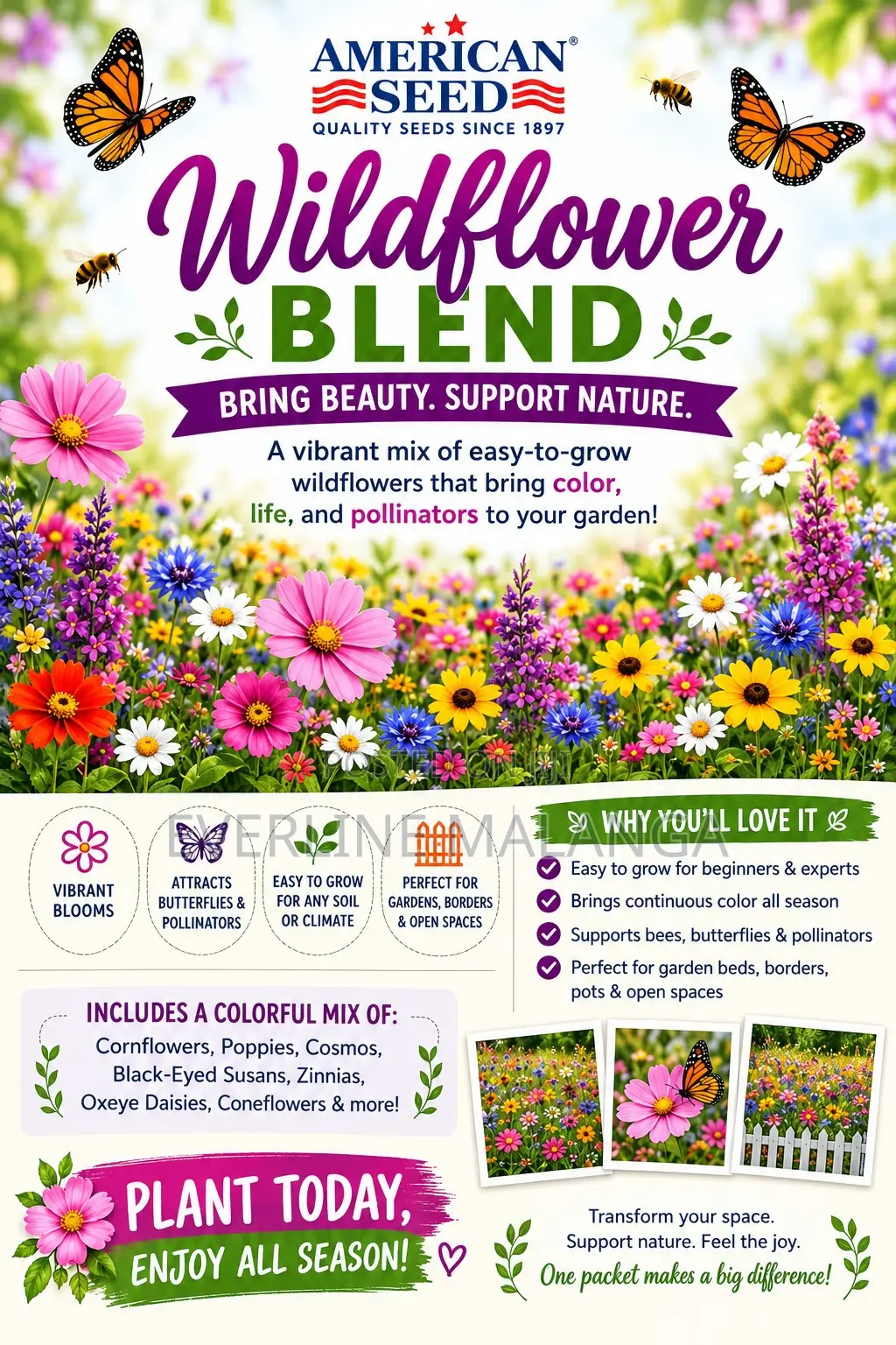American Wildflower Seeds Blend