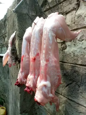Whole Organic Rabbit Dressed for Meat - Sold Per 1Kg