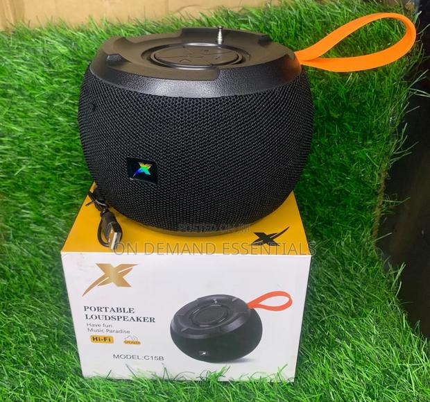 Caston C15 Bluetooth Speaker - main view