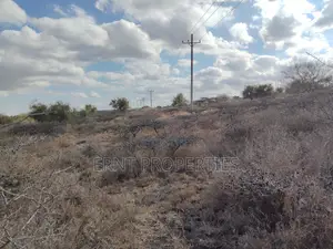 10 Acres Touching Namanga Road