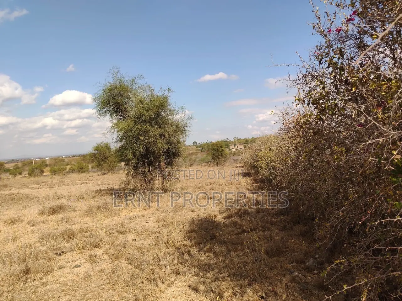10 Acres Touching Namanga Road