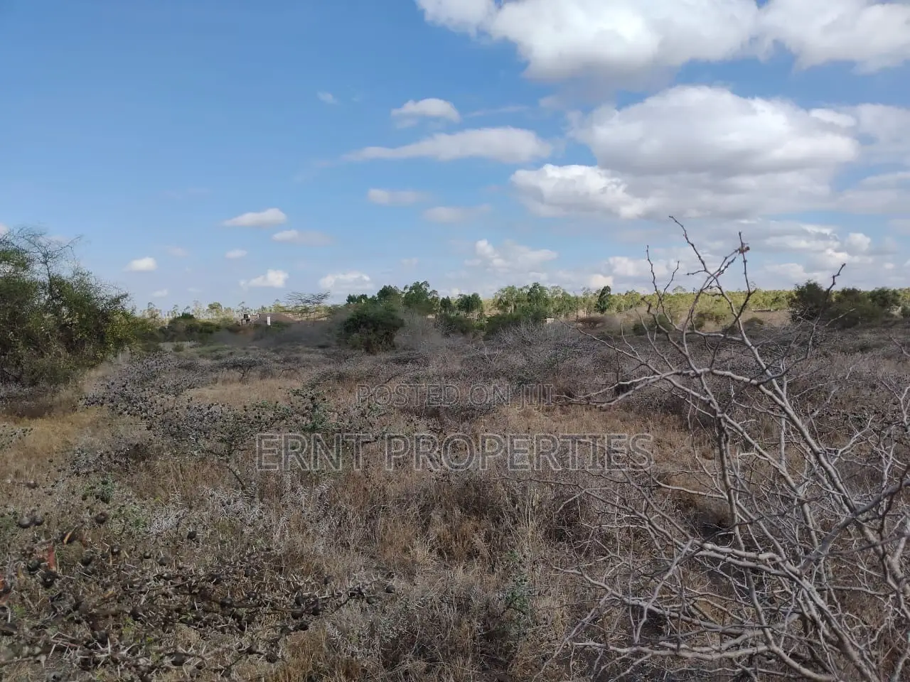 10 Acres Touching Namanga Road