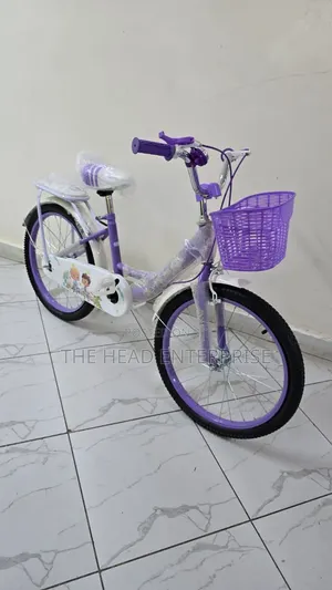Size 20 Girls Bike Purple Lady Bird