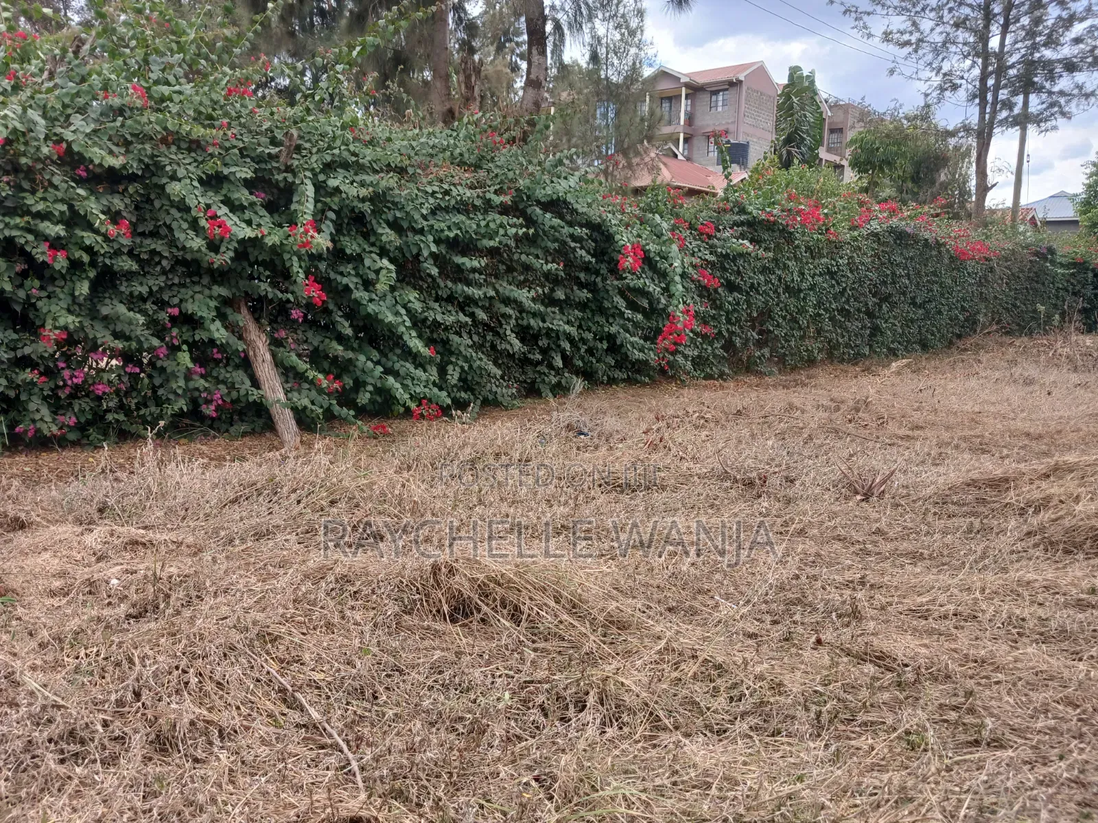 Toll, Kimbo Affordable Plot