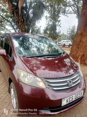 Honda Freed 2011 Brown