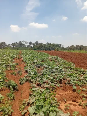 1/4 Residential Plot Off Kiambu Road