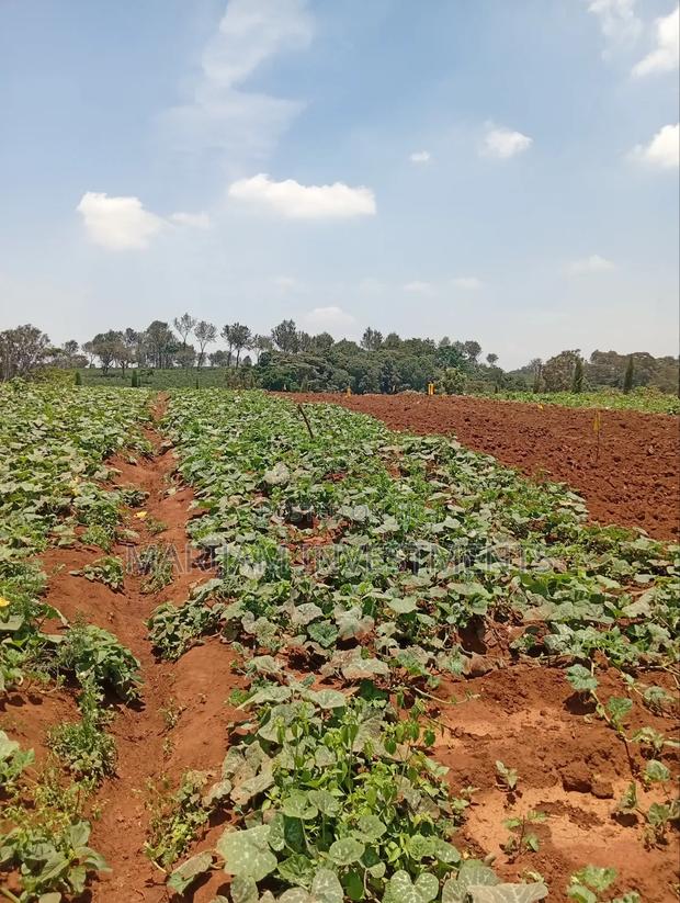 1/4 Residential Plot Off Kiambu Road - main view