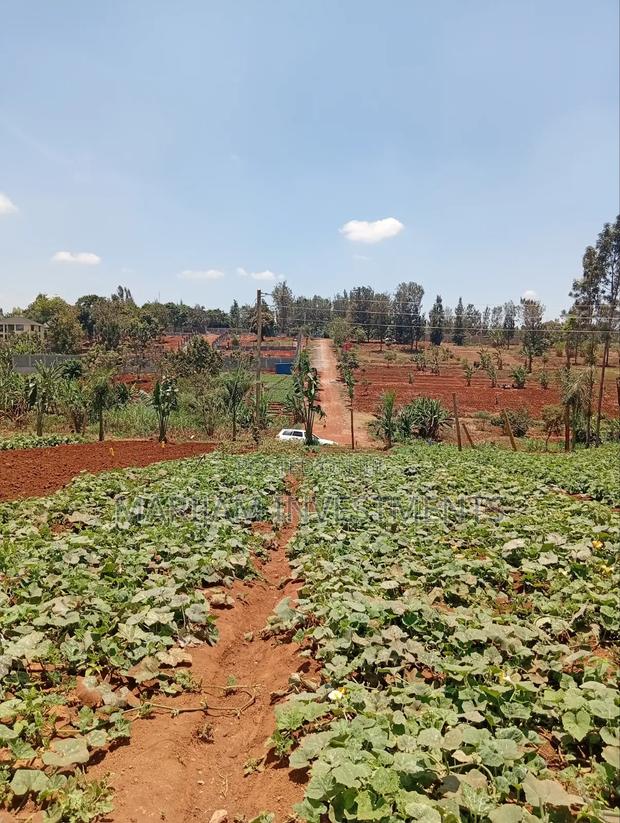 1/4 Residential Plot Off Kiambu Road - thumbnail 2
