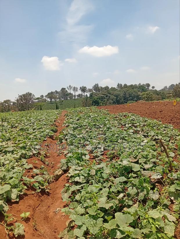 1/4 Residential Plot Off Kiambu Road - thumbnail 3
