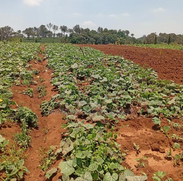 1/4 Residential Plot Off Kiambu Road - thumbnail 4