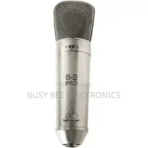 Behringer B2Pro Condenser Microphone